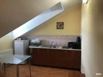 Астра - 61