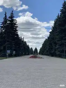 Визит - 3