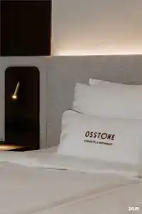Osstone - 31