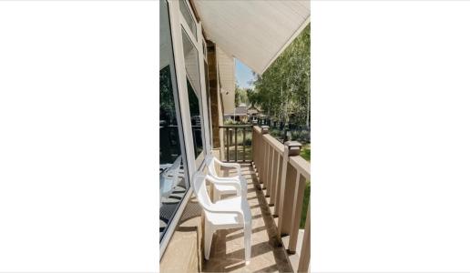 12 месяцев - 29