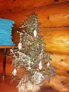 Дом Капитана - 19