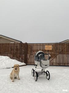 Семья на даче - 19