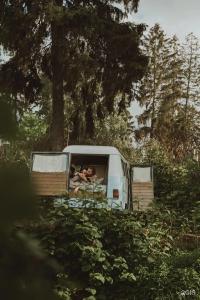 Hippy - 41