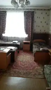 Березка - 19