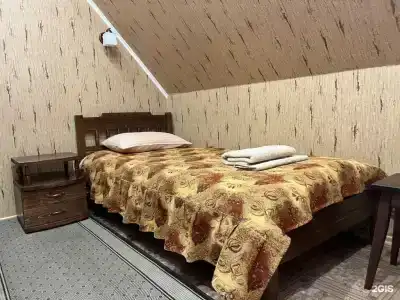 Сова - 14