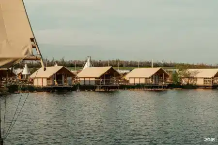 Кенгуру - 19
