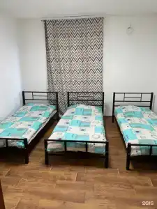 Аисты - 20