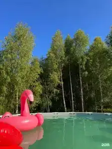 Дача Удача - 148