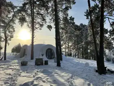 Гнездо - 93