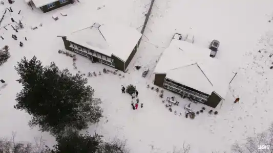 12 месяцев - 8