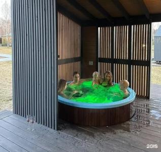 Garnet holiday. Green forest - 117