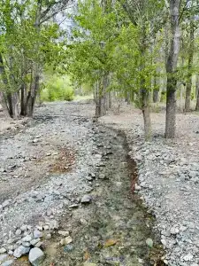 Софийская поляна - 41