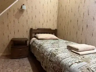 Сова - 15