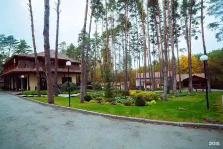 Донской лес - 57