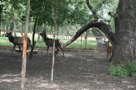 Беной Тревел Озеро - 35