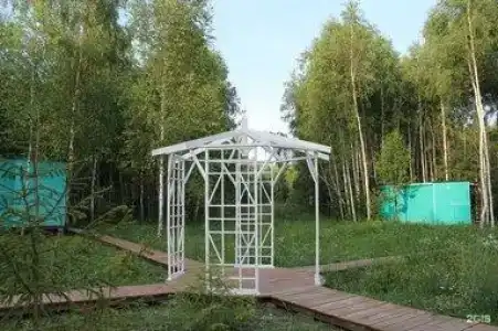 Лесной сон - 50