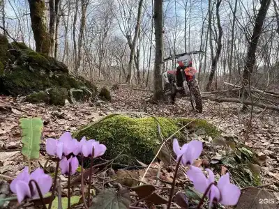 Ранчо - 17