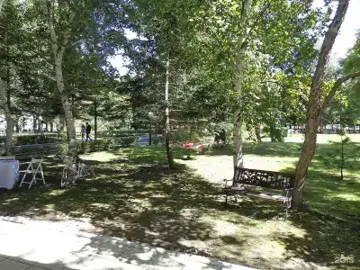 Союз - 31
