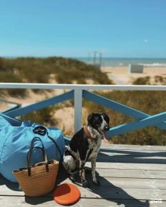 Beta глэмпинг - 44