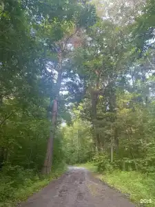 База отдыха у Петропавловского озера - 9