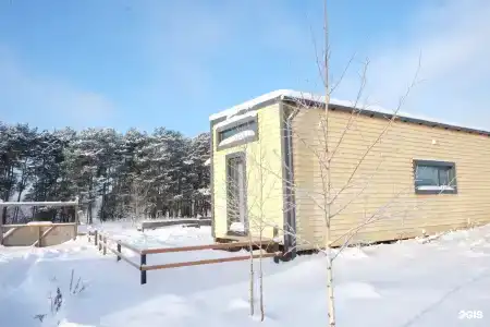 Смородина - 45