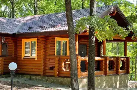 Боровское - 1
