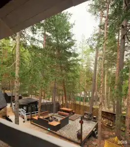 Блэк Поинт - 221