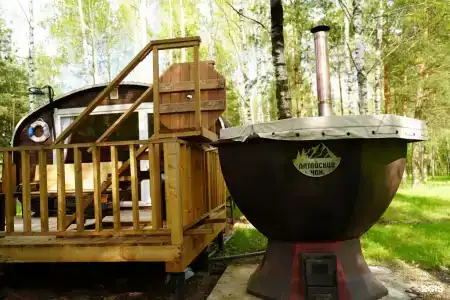 Золотой Куркозель - 29
