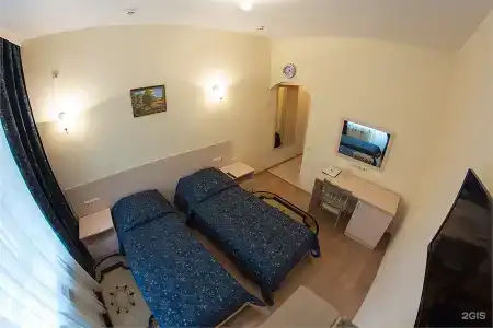 Сосны - 101