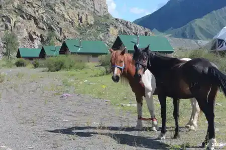 Яломан camp - 27