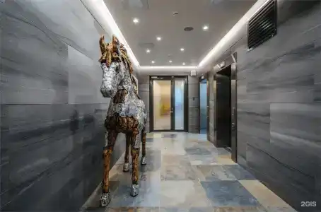 X-Clinic - 12