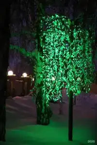 Алтай - 13