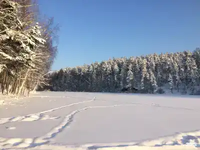 Салокюля - 42