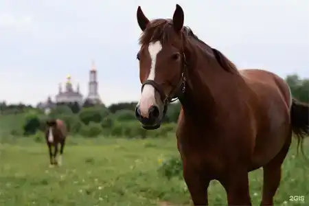 Гостевой Дом на Михайловской 64 - 54