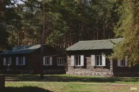 Шышки - 37