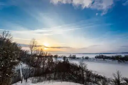 Донской лес - 16