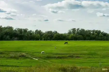 Скорняково-Архангельское - 201