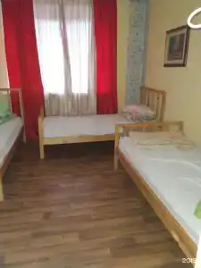 Панда - 29