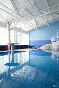 Яр - 81