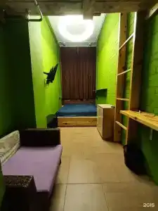 Bird House - 61