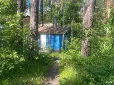 Прибрежный - 57