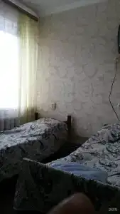 Березка - 13