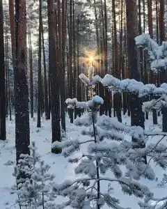 Аквамарин - 3