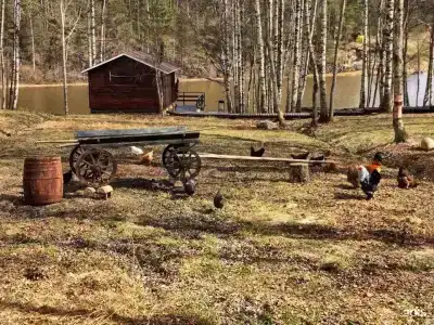 Салокюля - 5