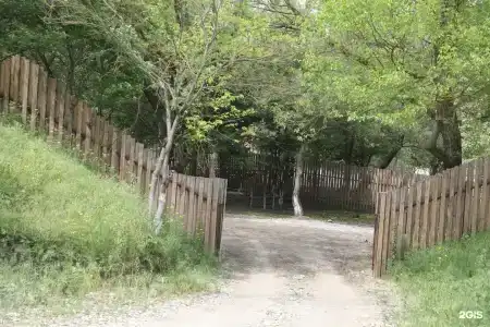 Беной Тревел Озеро - 32