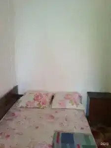 Под пальмой - 60