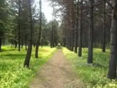 Томь-Усинский - 7