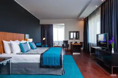 Radisson Blu - 41