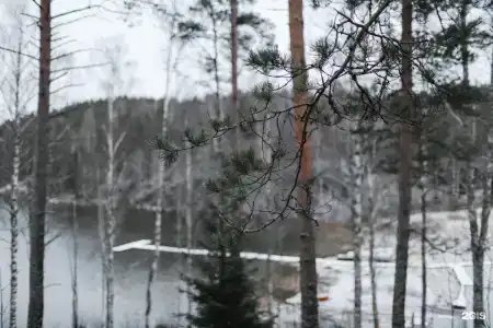 Forrest Lodge Karelia - 27