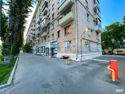 Подушкин Эйзенштейна - 9